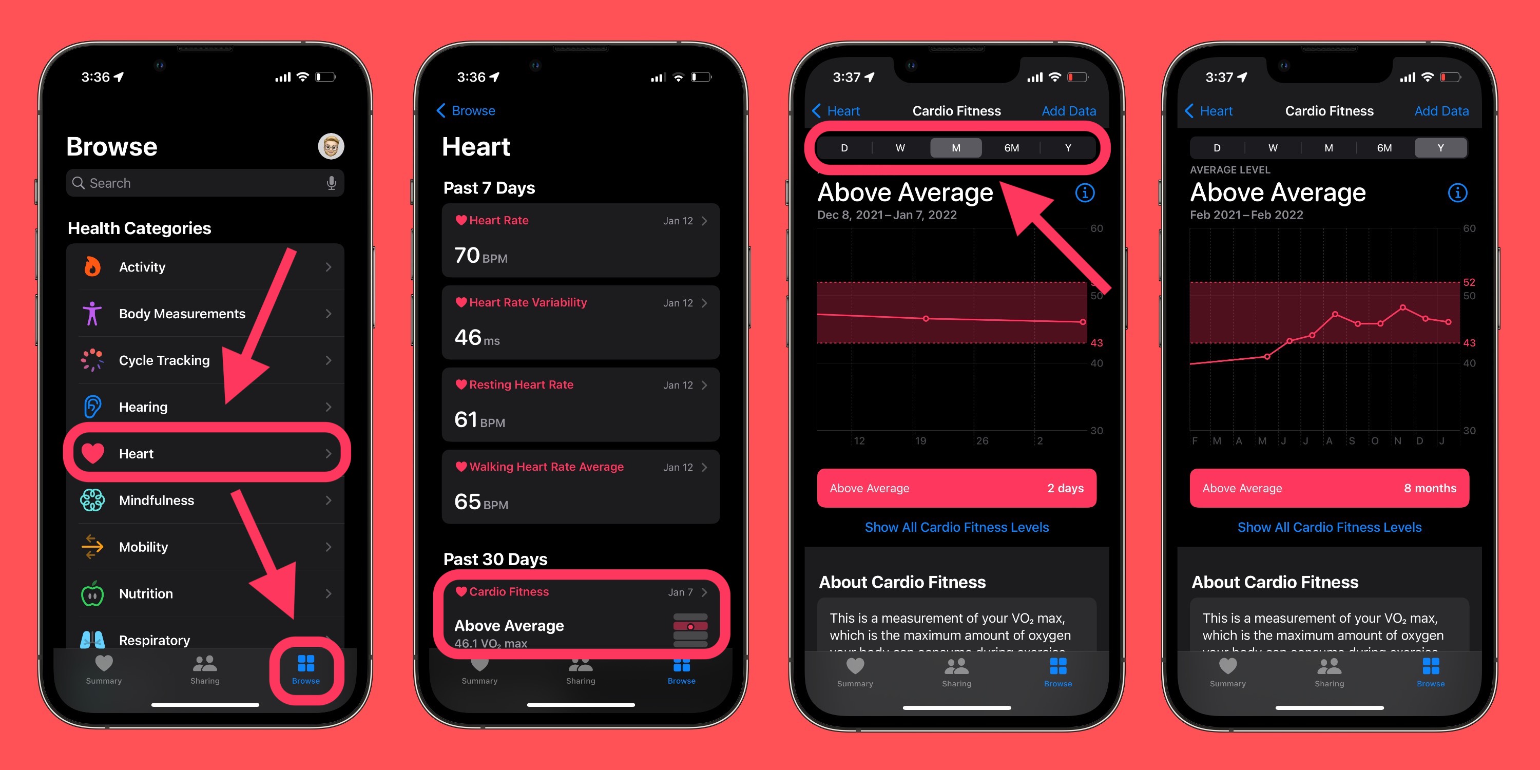 Проверьте кардиотренировку на Apple Watch и iPhone 2