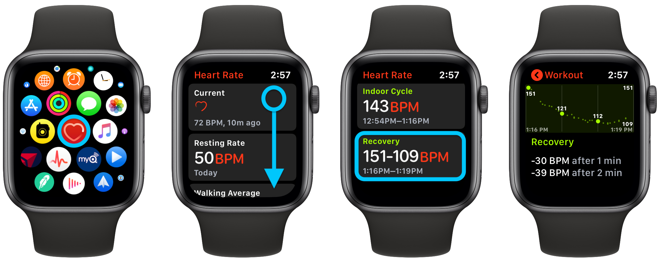 Кардио-восстановление Apple Watch