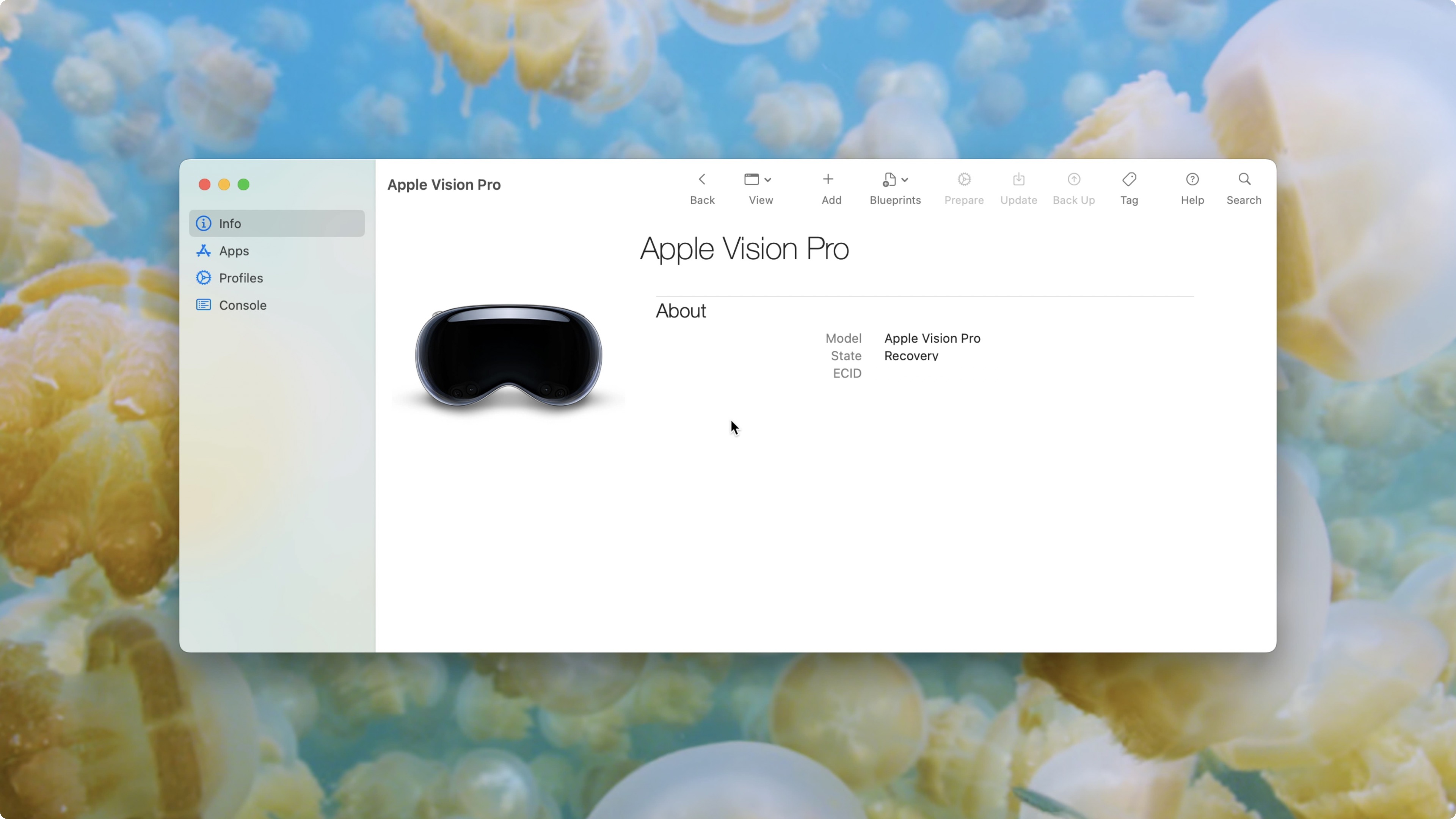 Apple Vision Pro в режиме восстановления в Apple Configuration.