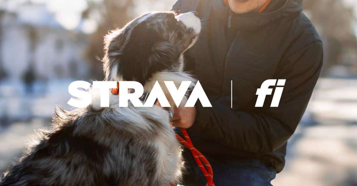 Strava сотрудничает с Fi Smart Collar для отслеживания активности щенков