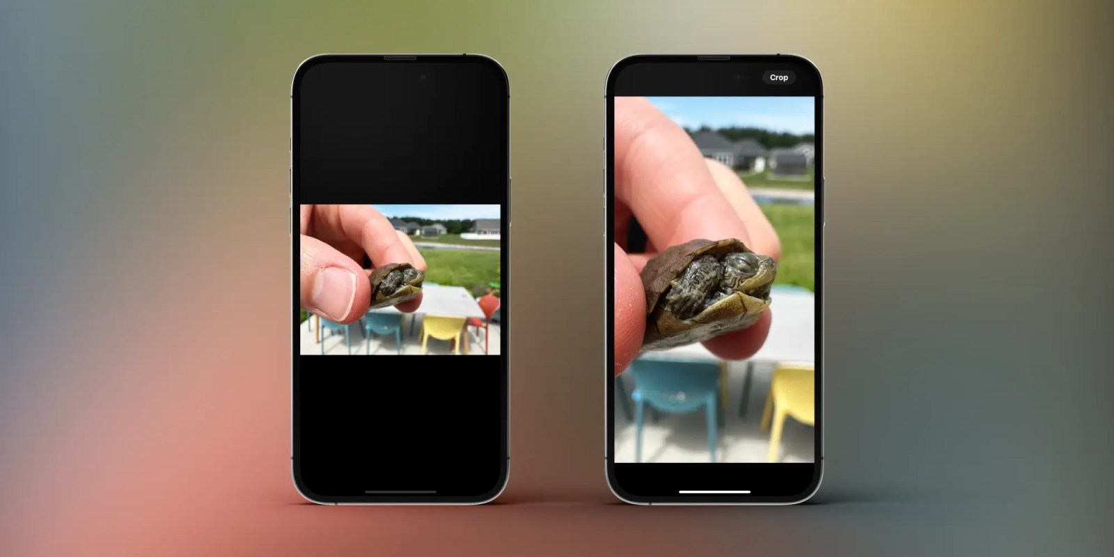 Используйте быструю обрезку в приложении iPhone Photos iOS 17