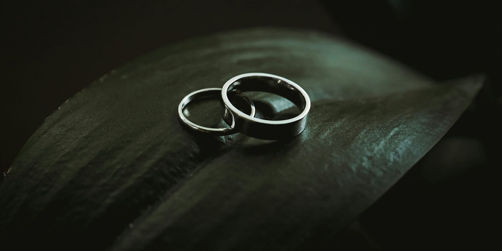 Выдан патент Apple Ring | Чисто иллюстративное фото колец