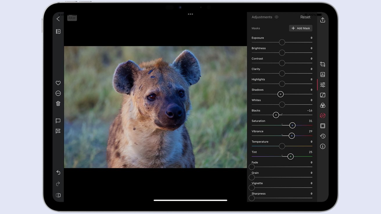 На экране iPad отображается фотография гиены с различными ползунками для редактирования, видимыми справа.