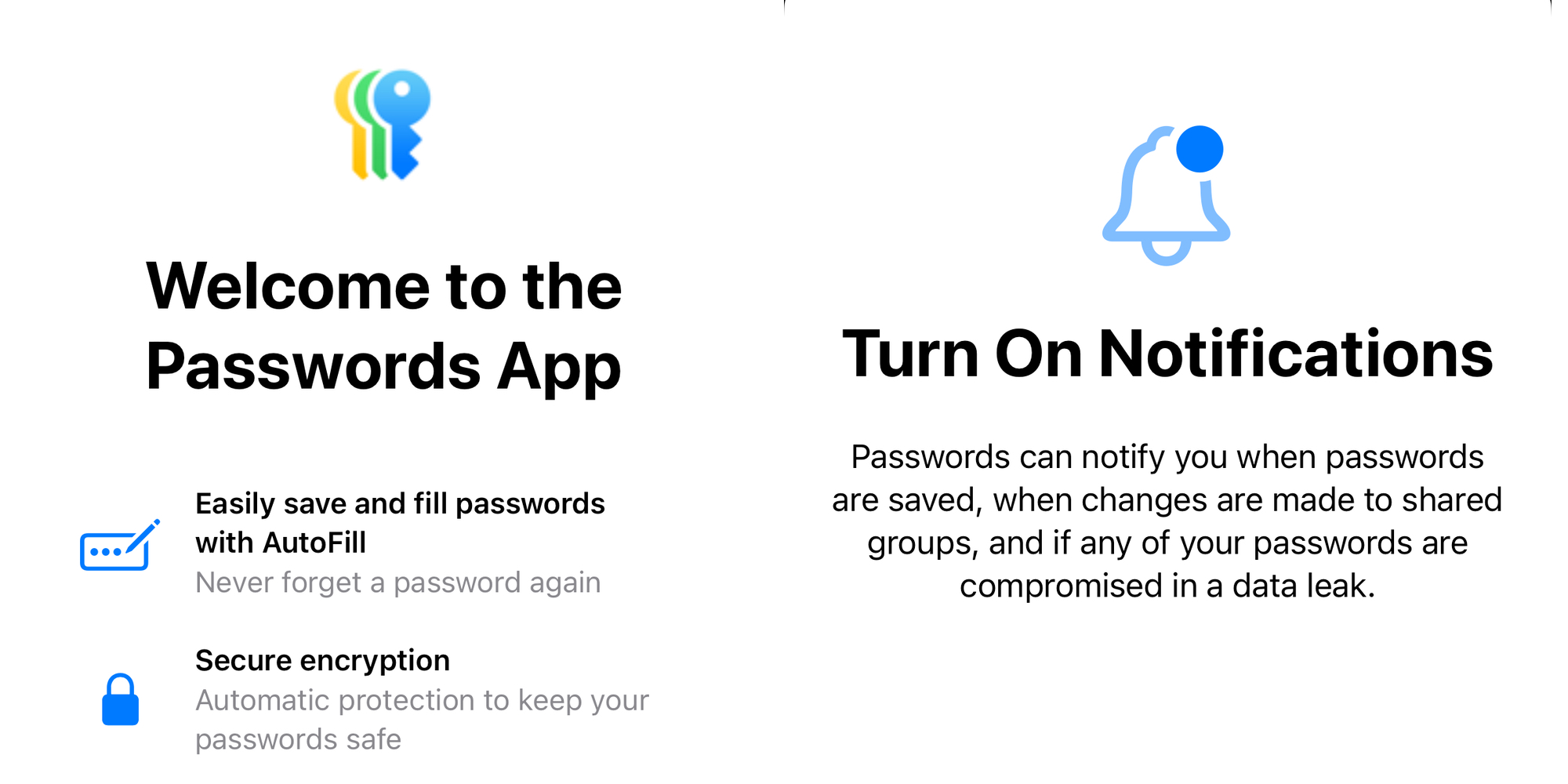 Приложение «Пароли» iOS 18