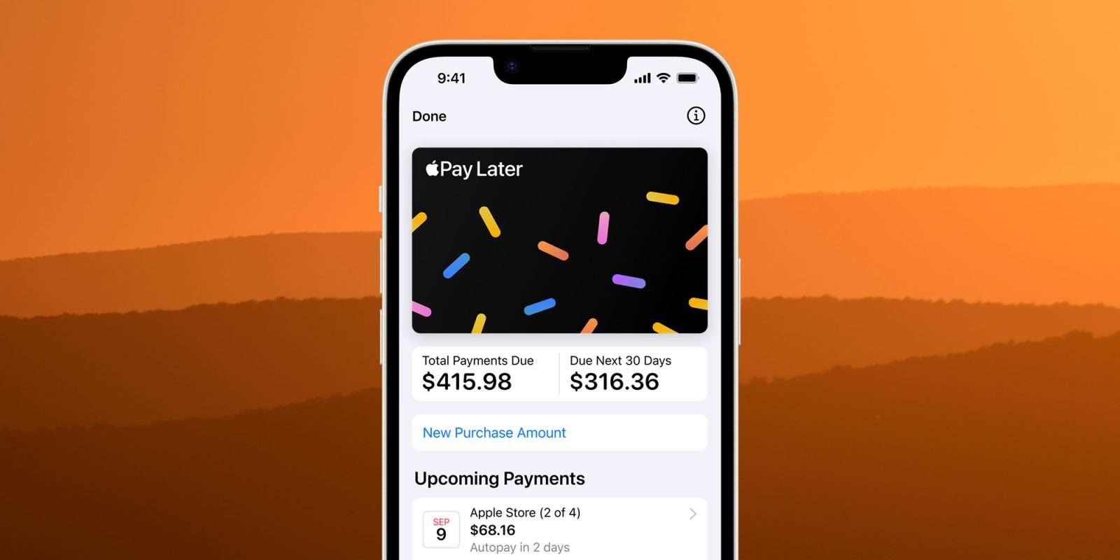 Apple Pay Позже вывод средств |  Скрин с сервиса
