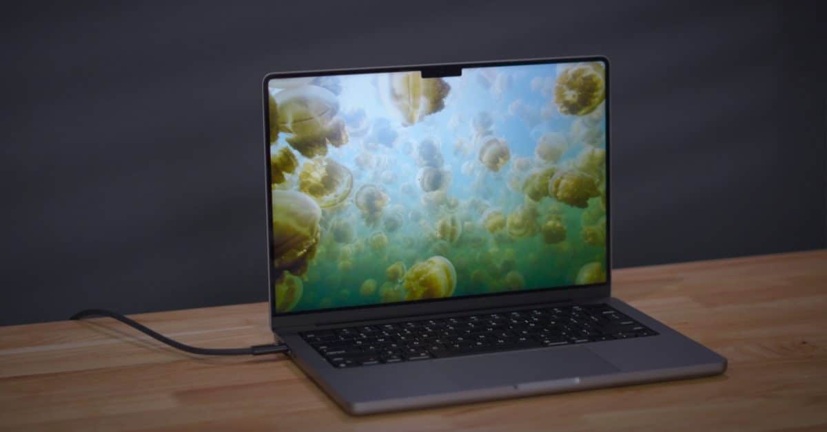 Вот как долго пользователи Mac используют свои компьютеры