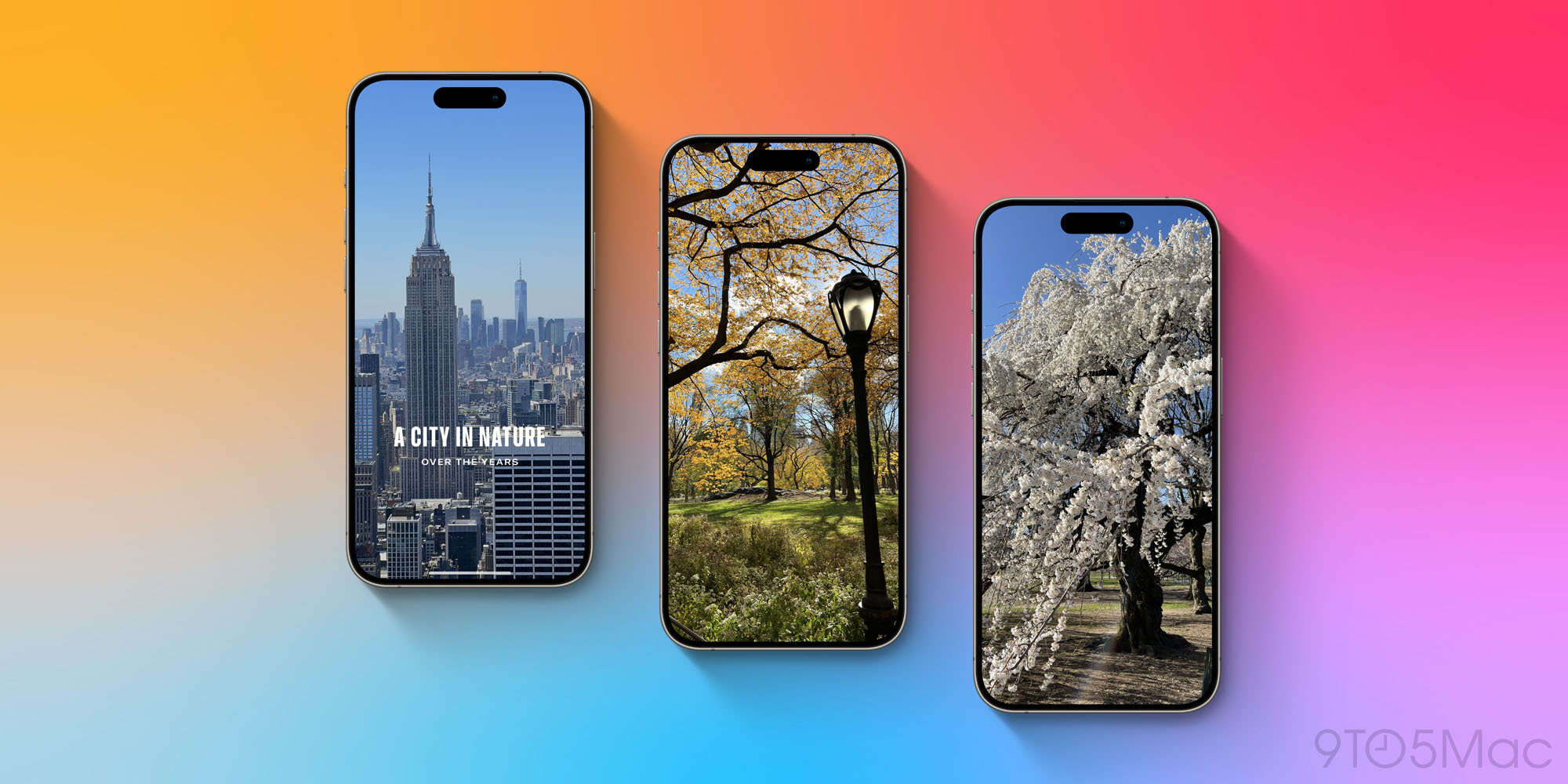 Фотографии с Apple Intelligence в iOS 18.1