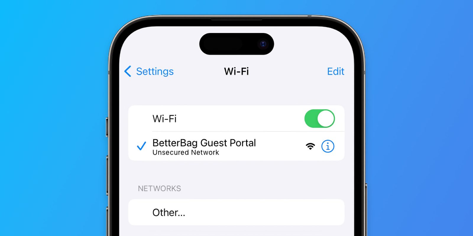 Настройки Wi-Fi iOS iPhone