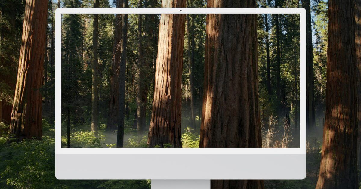 Загрузите новые обои macOS Sequoia beta 5