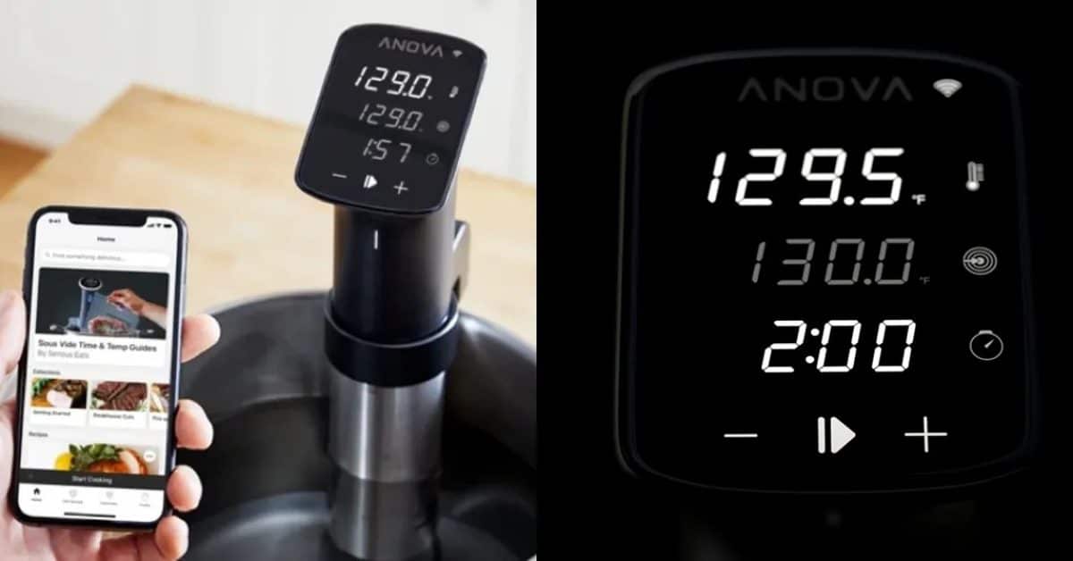 «Теперь все можно купить по подписке» включает в себя Anova sous vide