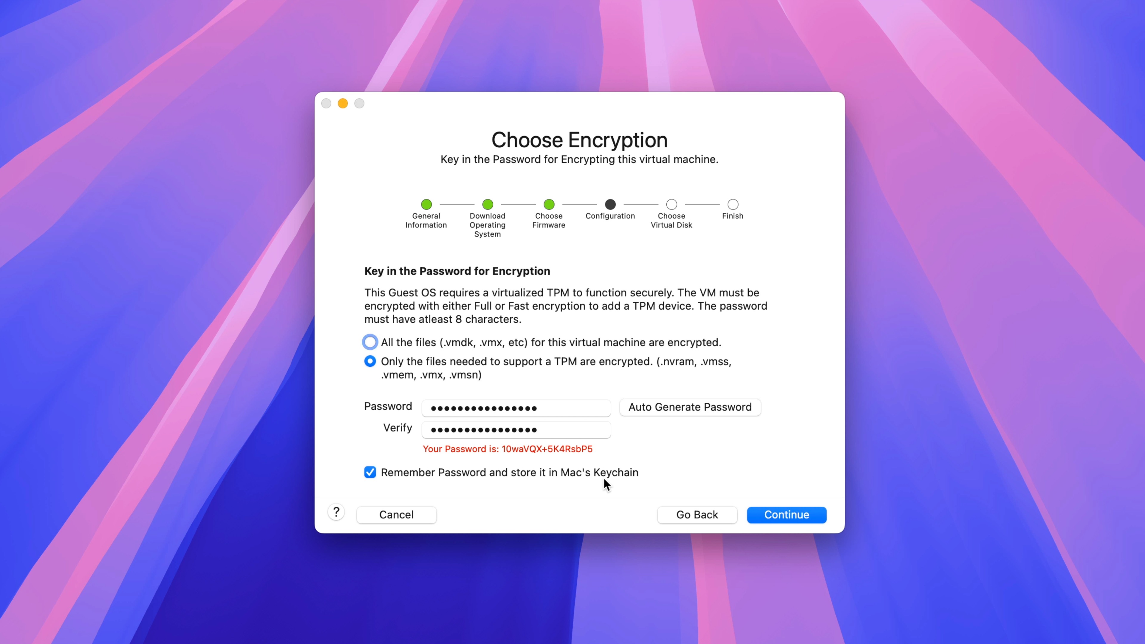Windows 11 на Mac с VMware Fusion Pro бесплатно — выберите шифрование