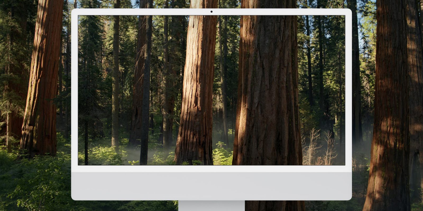 В macOS Sequoia beta 5 добавлены новые обои — скачать их можно здесь