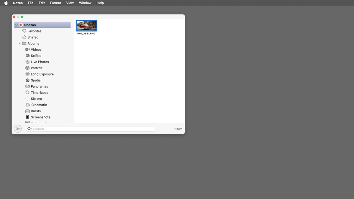 Приложение macOS Notes с открытым окном браузера фотографий.